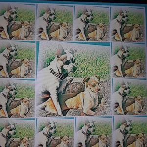 Meet your Posher, Genesis